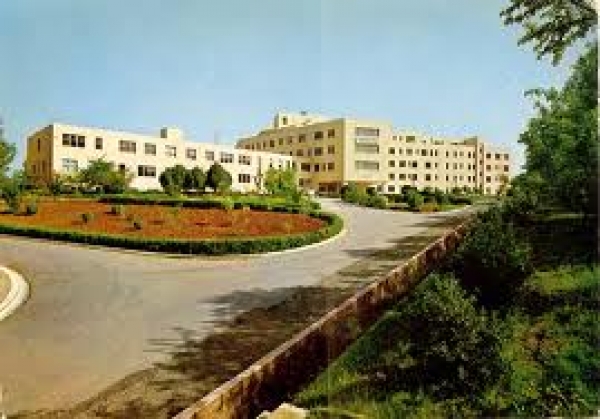 ΠΑΜΕ κατά Χρυσής Αυγής για το Παναρκαδικό