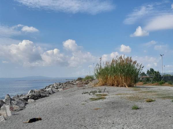 Κάτοικοι προς τον δήμαρχο Καλαμάτας: Απαιτούν παρεμβάσεις για αξιοποίηση της Δυτ. Παραλίας