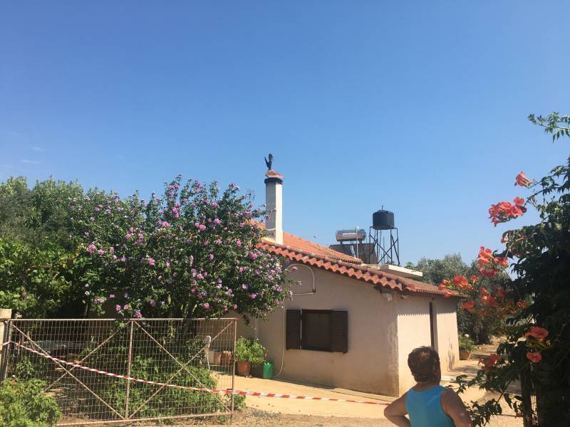 17 χρόνια φυλακής σε Πακιστανό για τη δολοφονία 57χρονης στο Γιόλακα Φιλιατρών