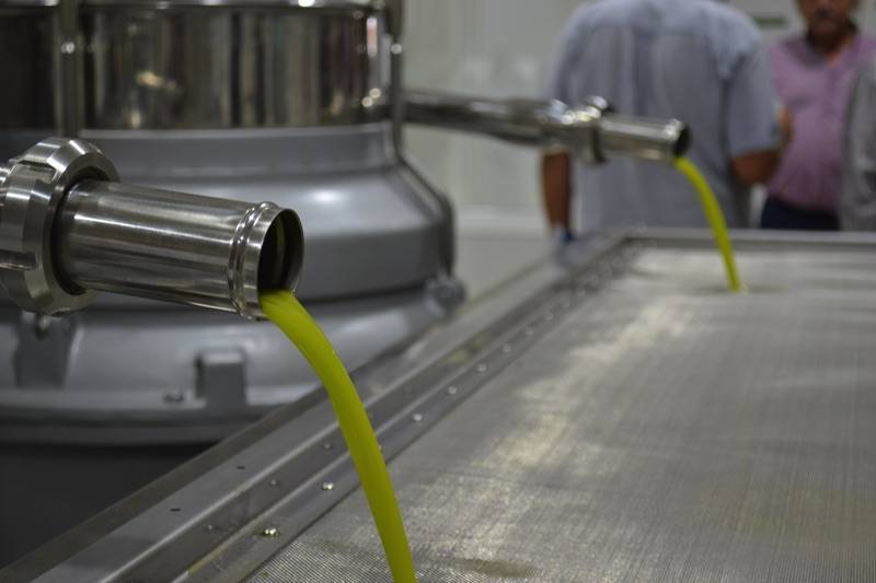 Ανοίγει ο δρόμος για τα επισκέψιμα ελαιοτριβεία