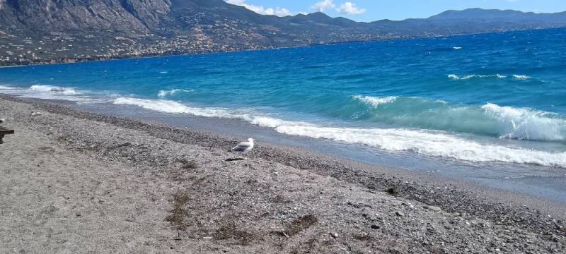 Αναπλάσεις ή επενδύσεις;