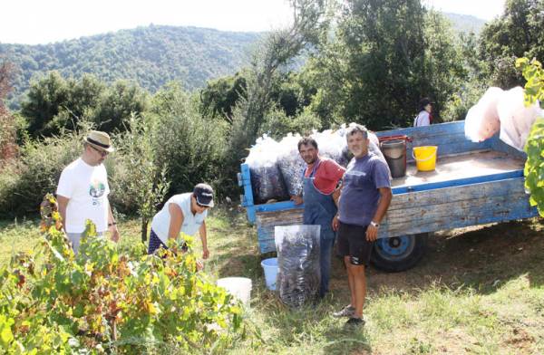 Στα Κοντοβούνια το "Πάμε Βόλτα"