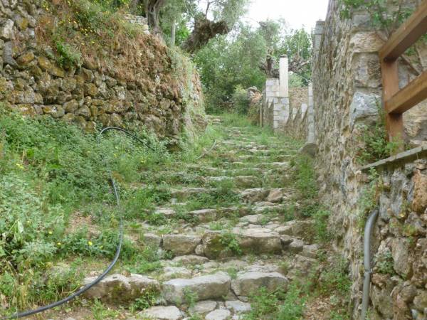 Οι "Φίλοι της Βέργας" ενημέρωσαν αιρετούς για τα καλντερίμια (βίντεο και φωτογραφίες)