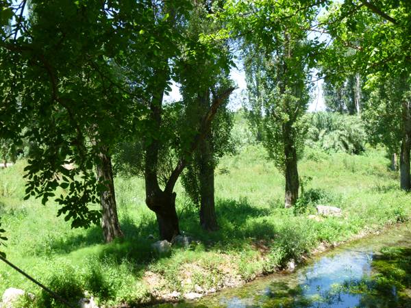 Ανάπλαση μονοπατιού στο πάρκο Πηδήματος