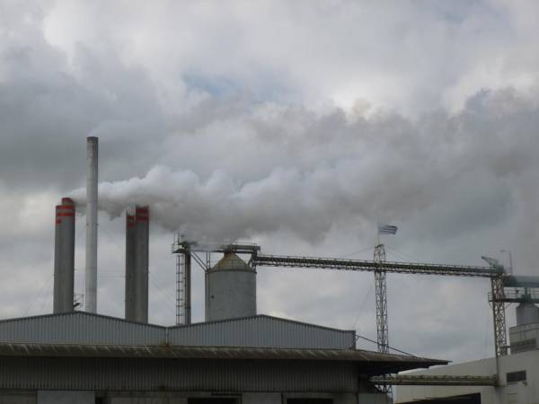 Προσωρινή διακοπή λειτουργίας πυρηνελαιουργείου στο Μελιγαλά