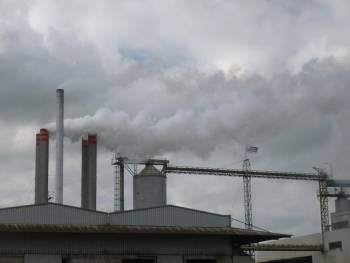 Προσωρινή διακοπή λειτουργίας πυρηνελαιουργείου στο Μελιγαλά