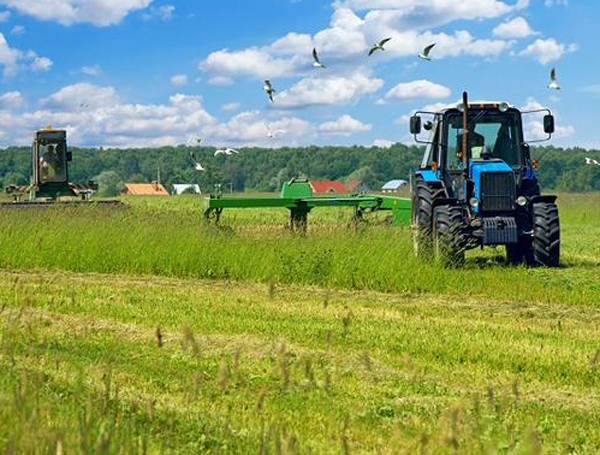 Η ίδρυση αγροτικού σχολείου στην Μεσσηνία, ως προϋπόθεση ανάπτυξης του πρωτογενή τομέα