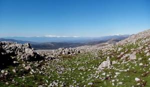 Νέα εξόρμηση του ΕΟΣ Σπάρτης