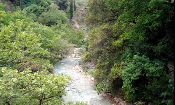 Η ΟΝΝΕΔ Τριφυλίας καθαρίζει τη Νέδα