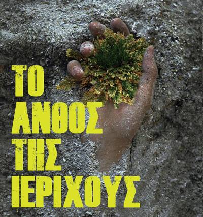 “Το άνθος της Ιεριχούς” της Μαρίας Γιαννακοπούλου - Δακτυλίδη
