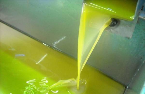 3,28 ευρώ το κιλό λάδι από το Δώριο