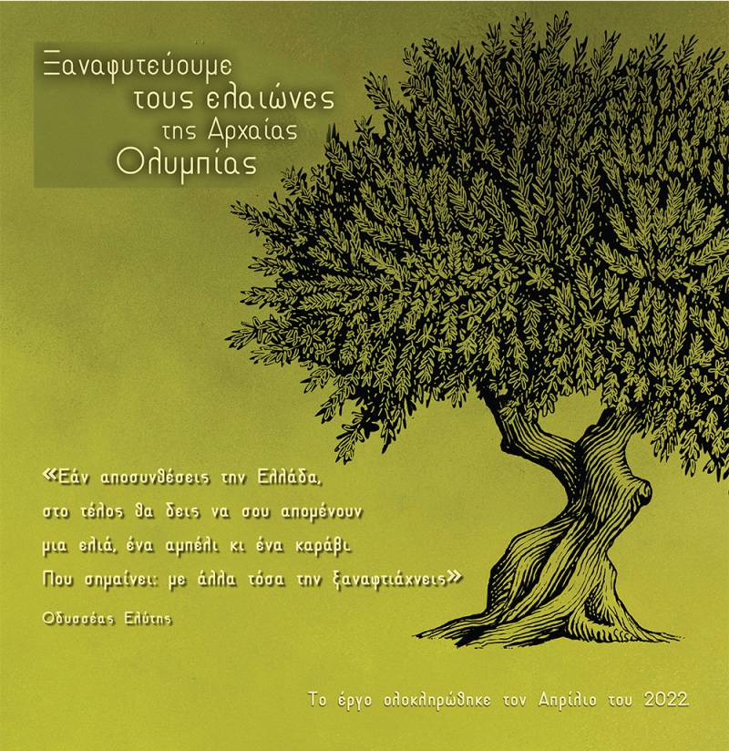 «Ξαναφυτεύουμε τους ελαιώνες της Αρχαίας Ολυμπίας»: Εκδήλωση για τη μεγάλη δωρεά προς τους καλλιεργητές της περιοχής
