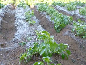 Βλάβη στο δίκτυο της ΔΕΗ την ώρα της μάχης με τον πάγο στο Μπουρνιά