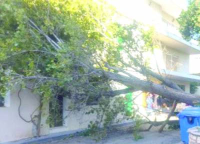 Προβλήματα από τους ισχυρούς ανέμους της… Ζηνοβίας στη Μεσσηνία