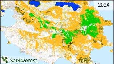 Την υγεία όλων των ελληνικών δασών χαρτογραφούν επιστήμονες στο ΑΠΘ
