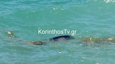Κόρινθος: Αυτοκίνητο έπεσε στη θάλασσα, νεκρός ο οδηγός