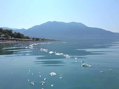 Καλαμάτα: Παράπονα λουόμενων για την εικόνα της θάλασσας στην Ανατολική Παραλία