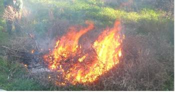 Απαγορεύονται οι φωτιές από την 1η Μαΐου