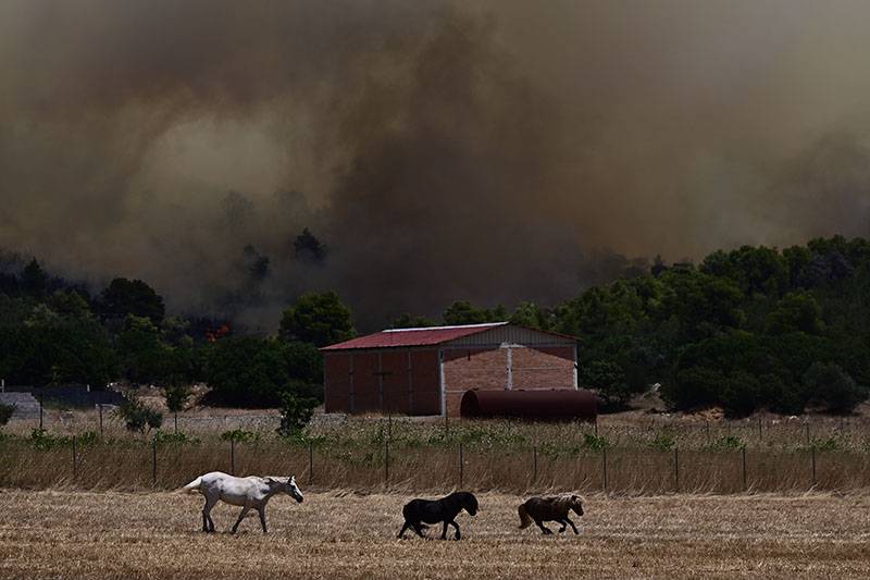 Γ. Λέναρσιτς: Βιώνουμε ένα κύμα καύσωνα σε ολόκληρη τη Ν. Ευρώπη που προκαλεί ήδη καταστροφικές συνέπειες στην Ελλάδα