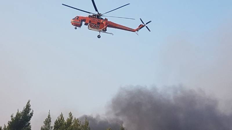 Μεσσηνία: Πυρκαγιά στη Μεταμόρφωση