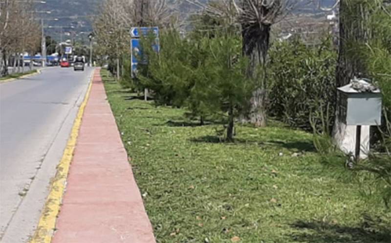 Συντήρηση και παρεμβάσεις στον τομέα του Πρασίνου