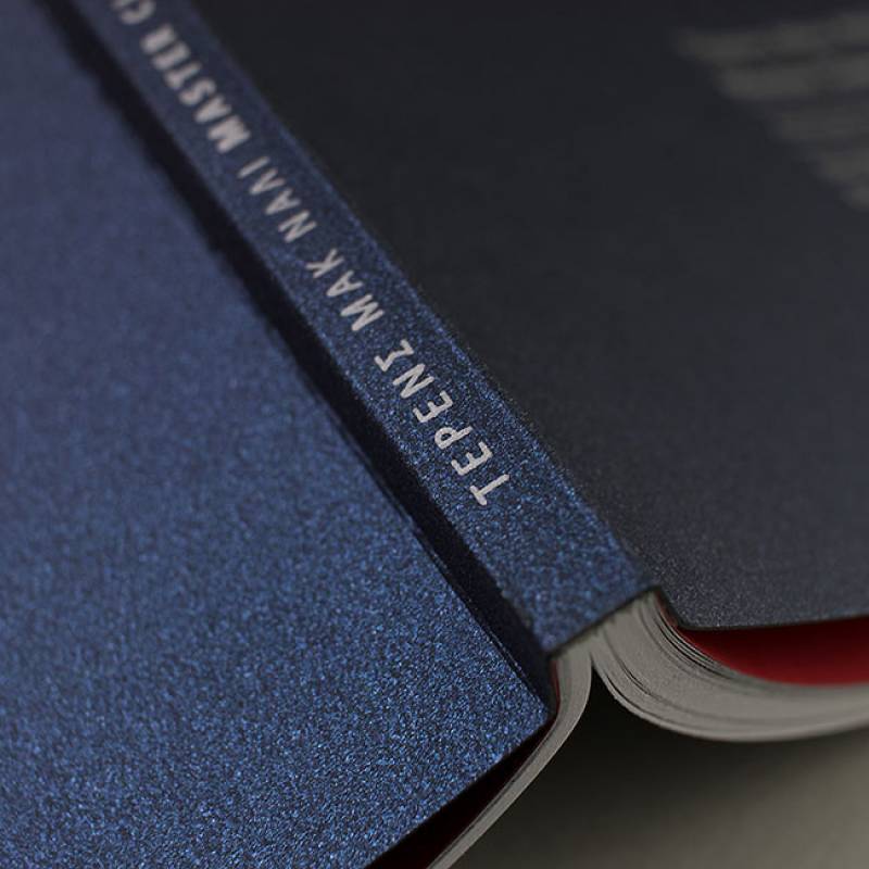 Τέρενς Μακνάλι: “Master Class - Ανώτερο σεμινάριο με τη Μαρία Κάλλας”