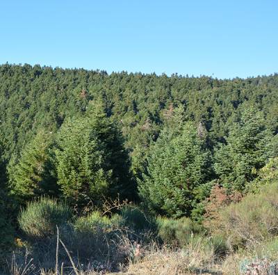 Ν. Παΐσιος: Οι κοινές ευρωπαϊκές εκπαιδεύσεις μάς έχουν δώσει μια κοινή «γλώσσα» στο πεδίο