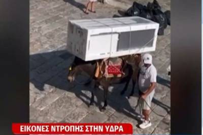 Εικόνες ντροπής: Γαϊδουράκια στην Ύδρα κουβαλάνε μέχρι και ψυγεία (Βίντεο)