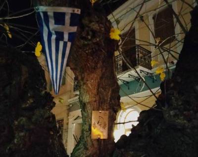 Μνημειακό δέντρο η μουριά Ταμβάκη στα Φιλιατρά