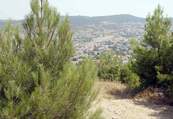 Δασολόγιο στη Μεσσηνία - Θεωρήθηκαν 274 δασικοί χάρτες