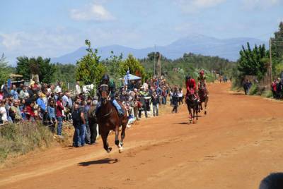 Κέντρο των ιπποδρομιών θέλει ο Νίκας το Πλατύ