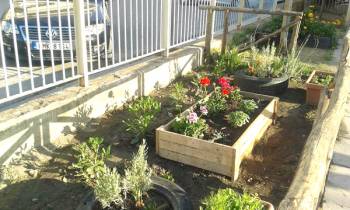 Ομόρφυναν την αυλή στο 24ο Δημοτικό Καλαμάτας