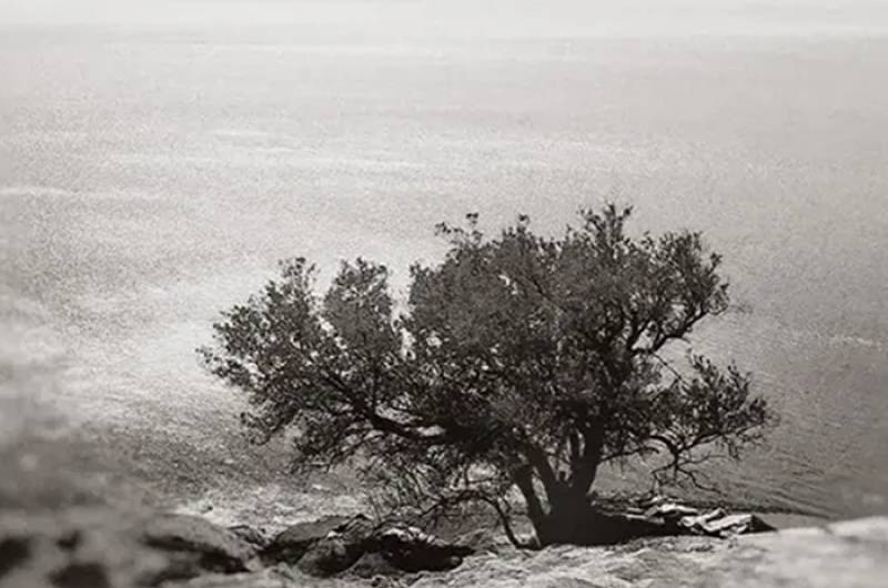 &quot;Δέκα εκατοστά&quot; της Μαριλένα Παπαϊωάννου