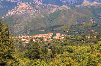 "Πάμε Βόλτα" στην Αρτεμισία