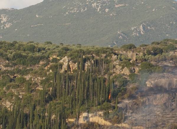 Ευτυχής συγκυρία