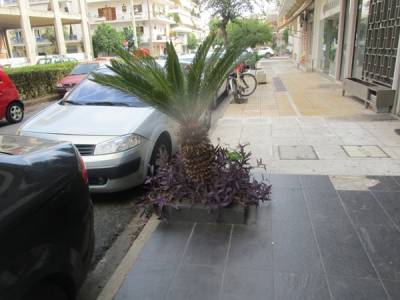 Πρόβλημα στο παρκάρισμα