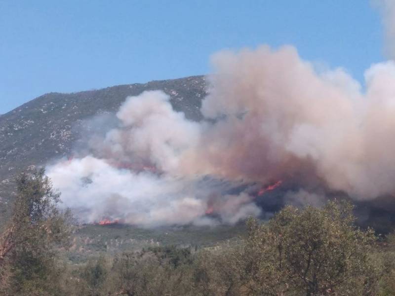 Μεσσηνία: Σύλληψη για εμπρησμό από αμέλεια για την πυρκαγιά στο Κεφαλόβρυσο Χώρας