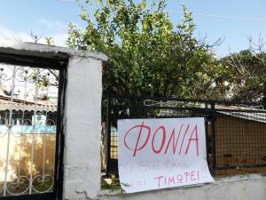 Σκότωσαν σκυλίτσα στην Αγία Τριάδα