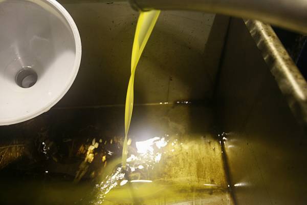 Νεκρός βρέθηκε 37χρονος σε πυρηνελαιουργείο στη Σπάρτη