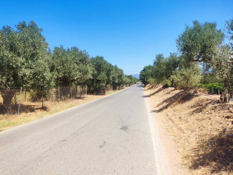 Διαβούλευση για πολεοδόμηση σε Μπούκα και Μαυρομμάτι Παμίσου