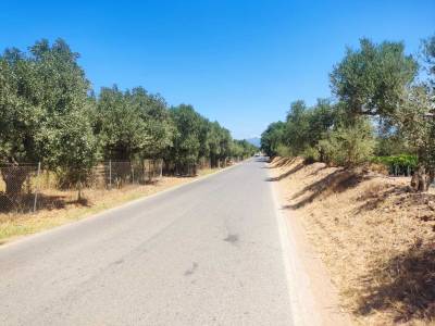 Διαβούλευση για πολεοδόμηση σε Μπούκα και Μαυρομμάτι Παμίσου