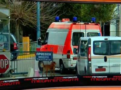 Ηλεία: Ληστές αυτοτραυματίστηκαν και κάλεσαν ασθενοφόρο για να αποφύγουν τη σύλληψη (Βίντεο)