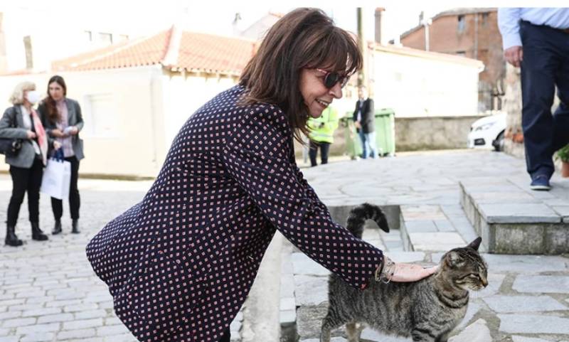 Σακελλαροπούλου: Ο τρόπος που φερόμαστε στα ζώα αναδεικνύει τον πολιτισμός μας