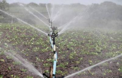 Δήμος Τριφυλίας: Πρόταση για ένταξη έξυπνων συστημάτων άρδευσης