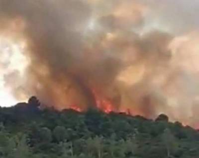 Μεσσηνία: Ελεύθερος με περιοριστικούς όρους ο κατηγορούμενος για εμπρησμό στο Χανδρινού