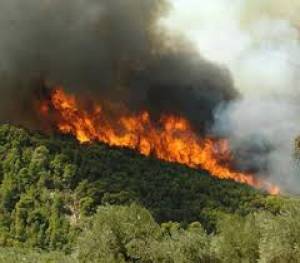 Φωτιά στο Νέο Οίτυλο