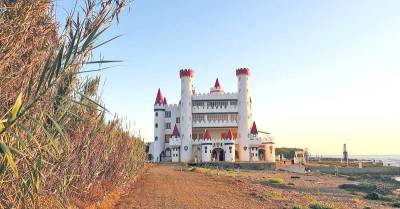 Δημόσια Κεντρική Βιβλιοθήκη Καλαμάτας: Το Παράρτημα Τριφυλίας στο φεστιβάλ του Αγρίλη