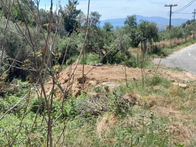 Μπάζα στο ρέμα