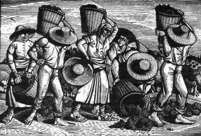 Η «κοινωνία της σταφίδας» σε μετάβαση…