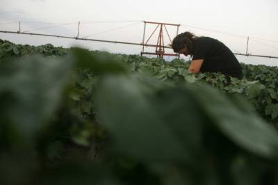 ΕΛΓΑ: Παράταση μέχρι τέλη Μαρτίου για την πληρωμή ειδικής ασφαλιστικής εισφοράς